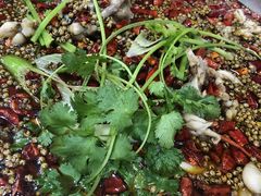 -渔香岛美蛙鱼头火锅(威清路店)