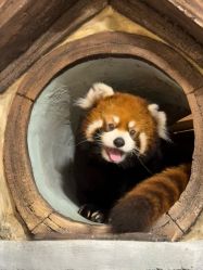 -Zoolung Zoolung动物主题公园(海信广场店)