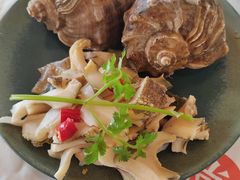 白灼大海螺-阿尔法海鲜排档(爱琴海店)
