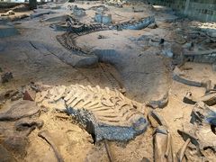 -自贡恐龙博物馆