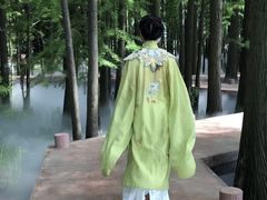 -东湖落雁景区