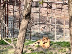 -哈尔滨北方森林动物园