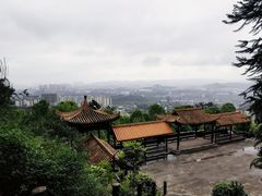 -铁山坪森林公园