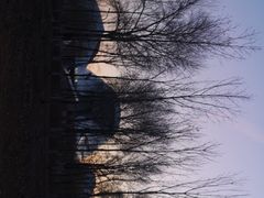-哈尔滨大剧院