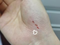 -天津市泰达医院