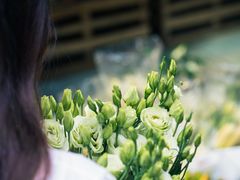 -循礼门鲜花花市(武汉循礼门店)