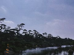 -罗红摄影艺术馆