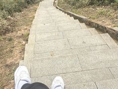 -桃花岭景区