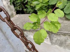 -渭南桃花源民俗文化园