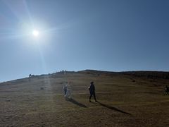 -大姆山草场