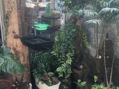 -丽江庭院之丽江往事(安定门店)