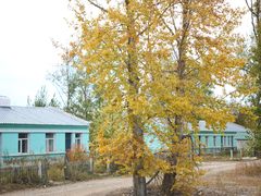 -莫尔道嘎国家森林公园