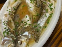 -呼吸森林·生态农庄农家乐私房菜