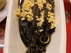 炝虎尾-玉华台饭庄(裕中西里小区店)