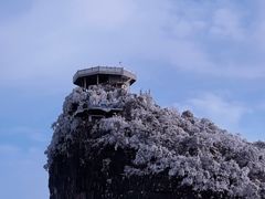 -张家界天门山国家森林公园
