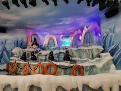 -帝企鹅自助餐厅•儿童岛•真企鹅(长隆企鹅酒店)