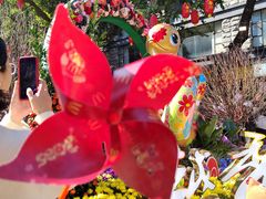 -越秀西湖花市(广州城市广场花卉店)