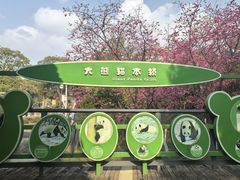 -昆明动物园