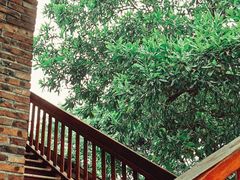 -顺风山庄(水濂山店)