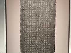 -中国湿地博物馆