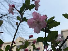 -金杨新村六街坊