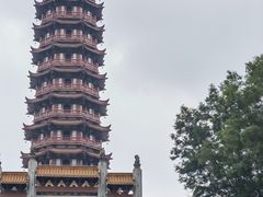-大雁山风景区