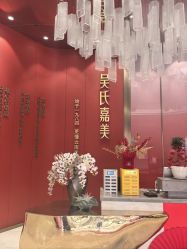 -云南吴氏嘉美医疗美容医院