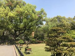 -申粤轩酒楼·三十年粤菜经典(丁香花园店)
