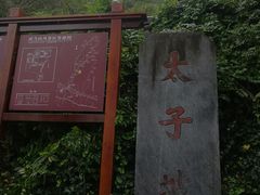 -武当山风景区-太子坡