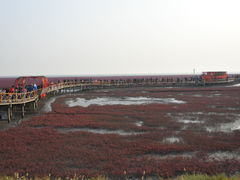 -红海滩国家风景廊道