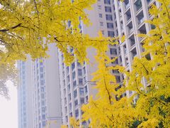 -成都南湖公园