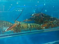 -福泉海码头(六里山店)