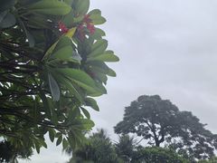 -希尔顿南海酒店·观廊大堂吧·海景下午茶