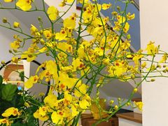 -森野花艺培训·企业团建活动沙龙