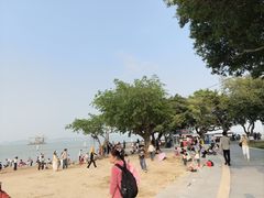 -南沙蒲洲花园