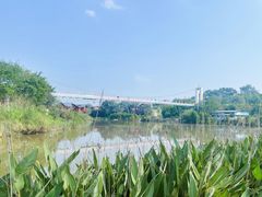 -川南大草原