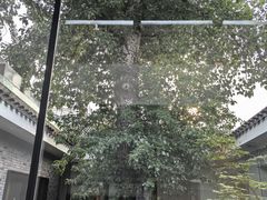 -自如ZSPACE四合院艺术餐厅