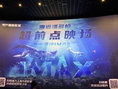 -寰映影城(大融城激光IMAX店)