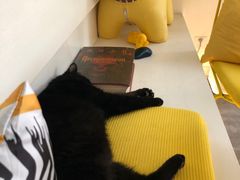 -五进制 Coffee Shop