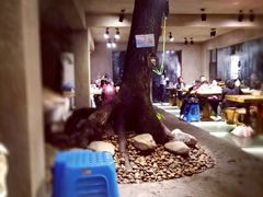 -天怡·鱼工厂(梅溪湖店)