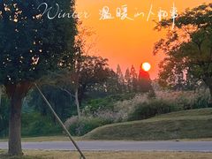 -良渚古城遗址公园