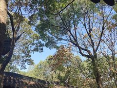 -上海佘山国家森林公园天马山园