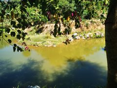 -泉州海丝野生动物世界