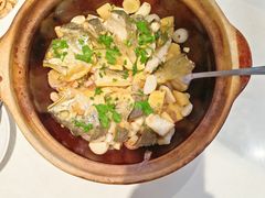 -新雅粤菜馆(南京东路店)