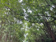 -动邦皮划艇·桨板·独木舟·团建户外运动俱乐部