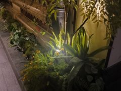 -北京望京凯悦酒店The Lounge大堂酒廊