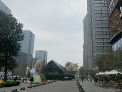 -合景·悠方(成都店)