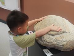 -陕西自然博物馆