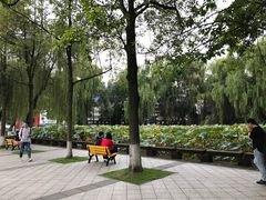 -四川大学(望江校区)