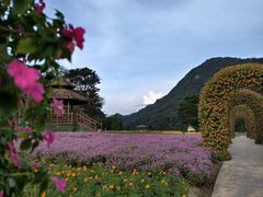 -广州市石门国家森林公园